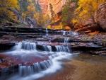 Arch_Angel_Falls