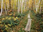 Boardwalk_Sieur_de