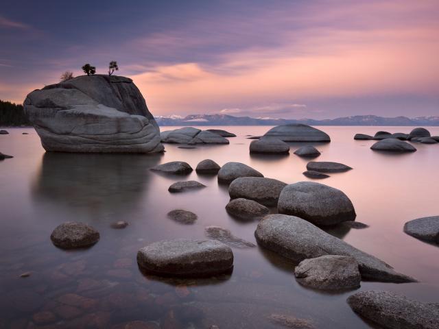 Bonsai_Rock
