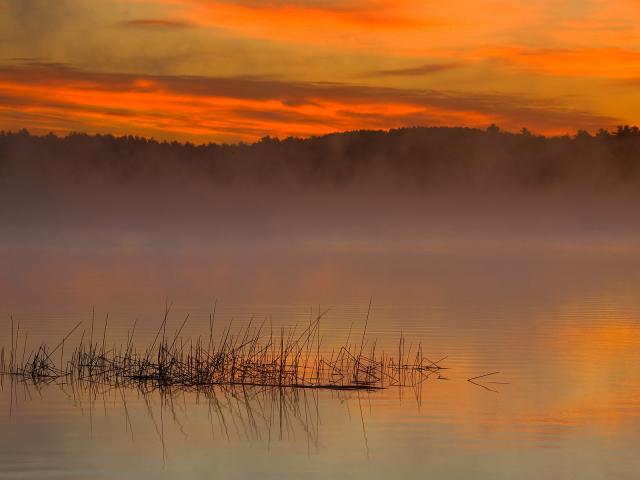 Foggy_Sunrise_02