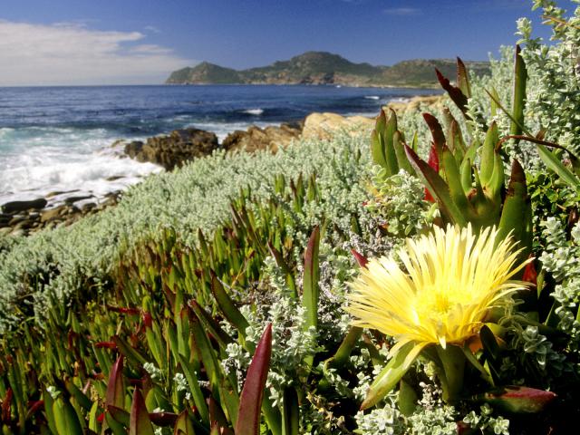 Cape_Peninsula