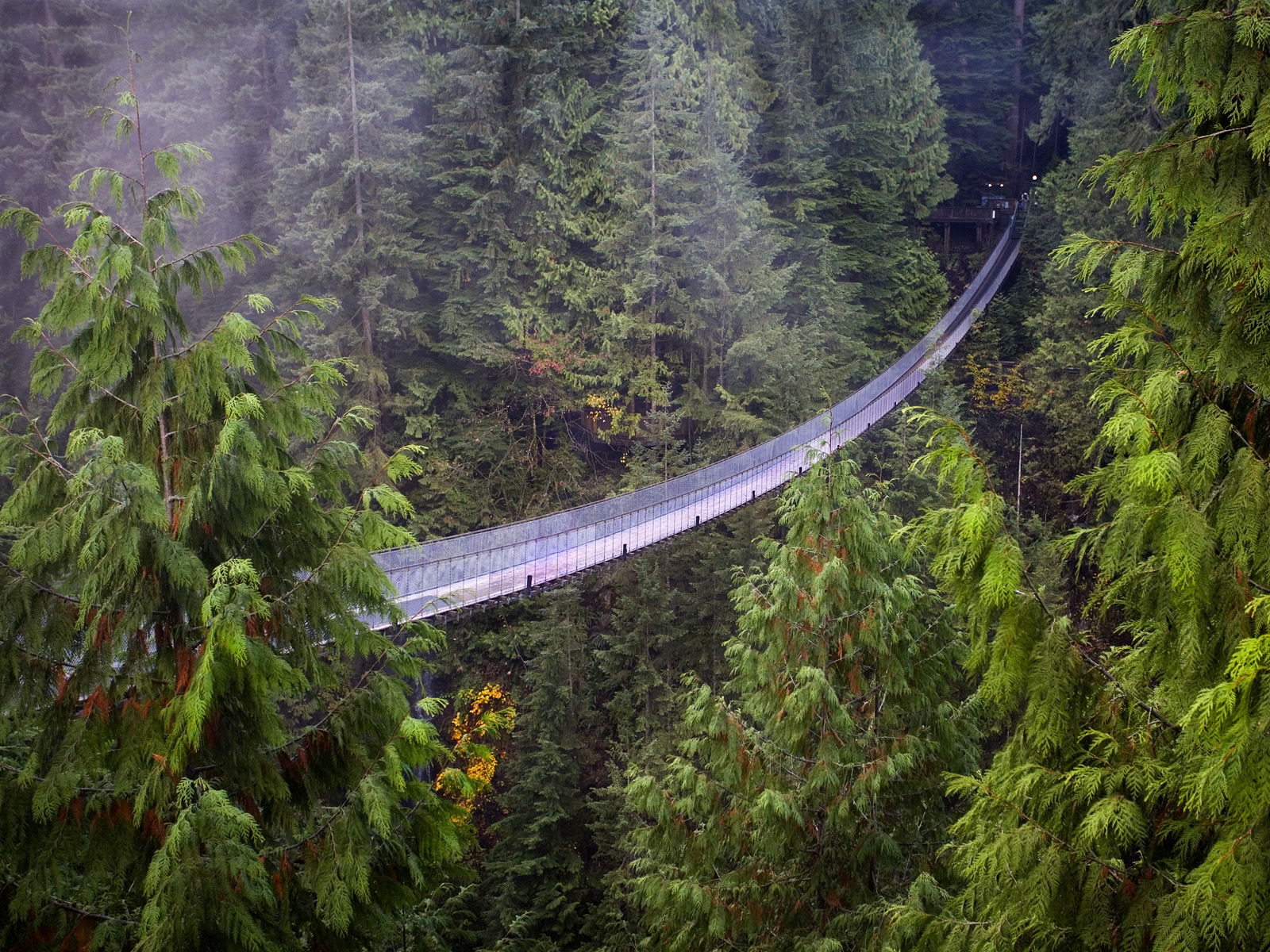 Capilano_Suspension