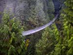 Capilano_Suspension
