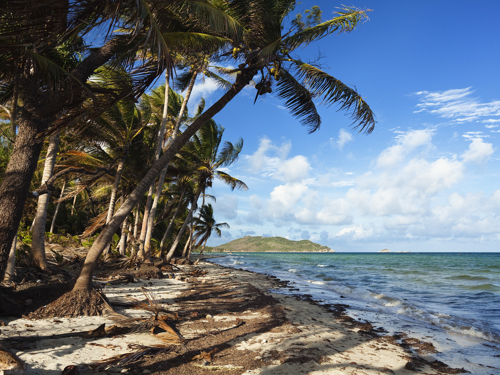 Chili_Beach_Iron