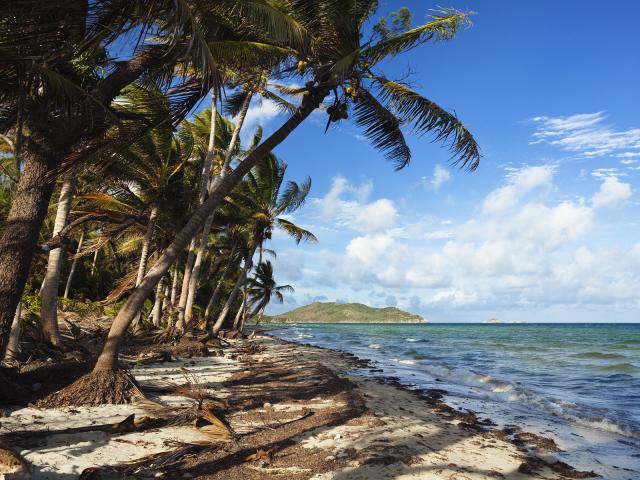 Chili_Beach_Iron