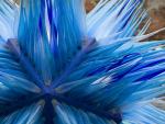 Glass_Sculpture