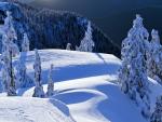 Mount_Seymour