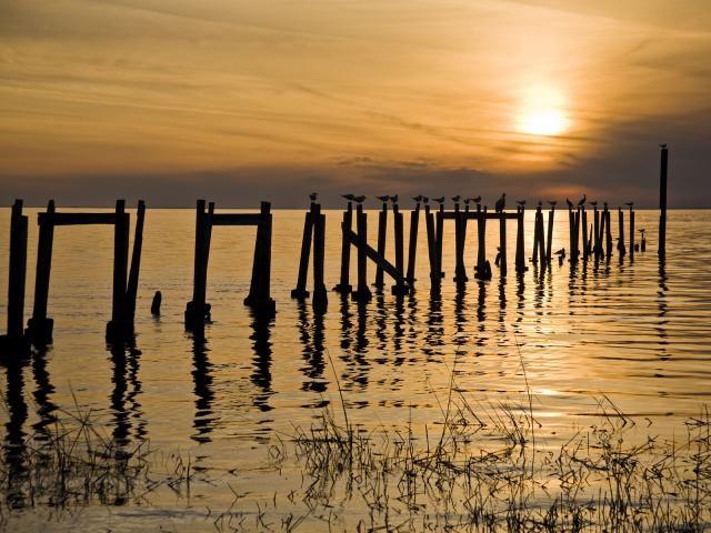 Sunset_Pier_Florida