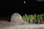 waphukaew12_298