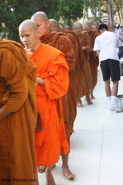 waphukaew12_351