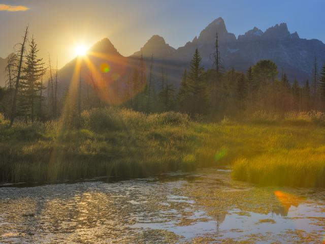 Beaver_Pond
