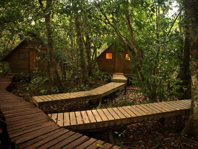 Bungalows_Jungle