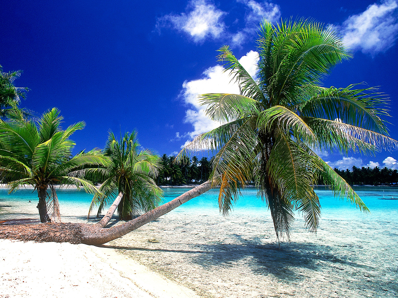 Rangiroa_French