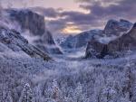 Sierra_Snowstorm