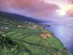 Coastal_Sunset_Pico