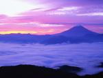 Fog_Over
