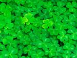 _Luck