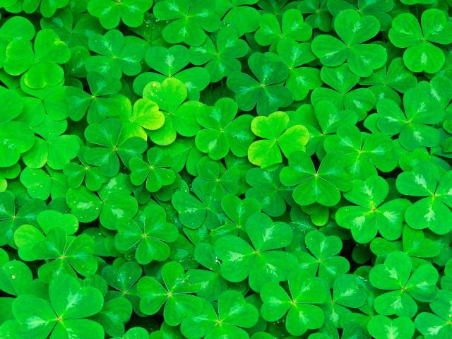 _Luck