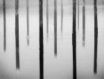 Piers_in_Winchester