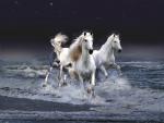 Mystic_Horses