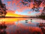 Lake_Doonella_Noosa