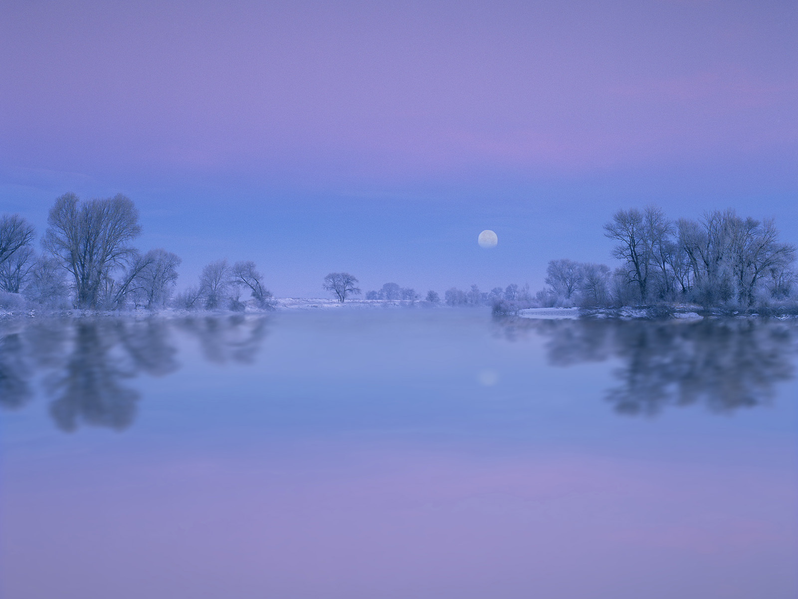 Winter_Reflection