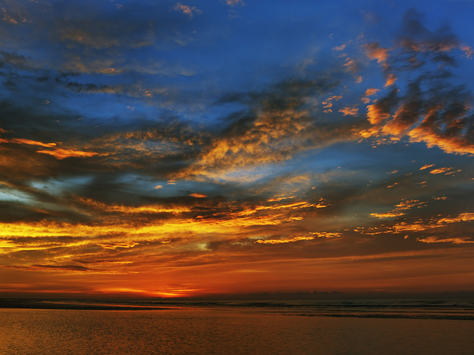 Darwin_Northern