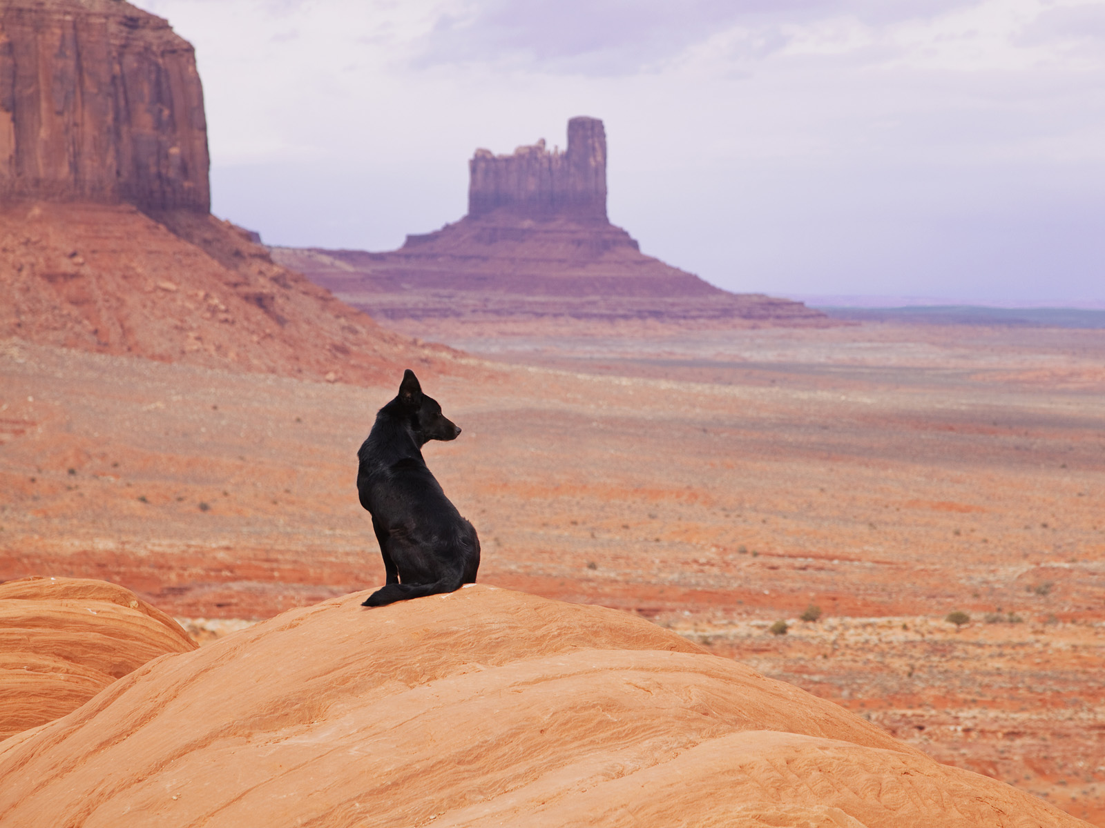 Enjoying_the_View