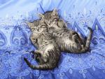 Sound_Sleepers