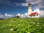 Cape_Blanco