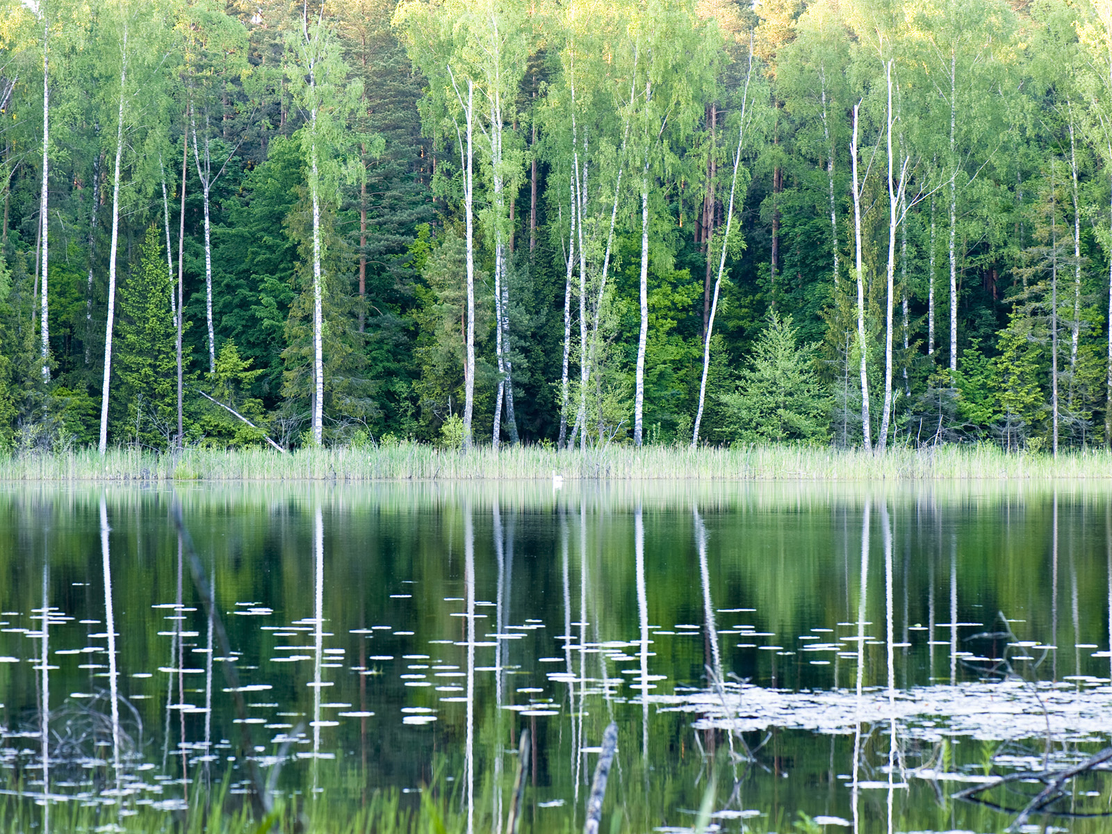 Great_Masurian_Lakes