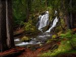 National_Creek_Falls