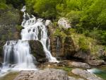 Springs_of_Yaga
