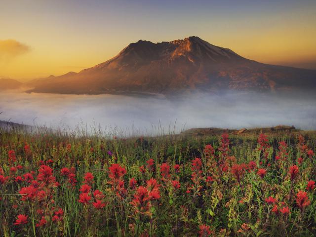 Mount_St_Helens