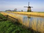 Schermerhorn_Holland