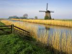 Schermerhorn_Holland