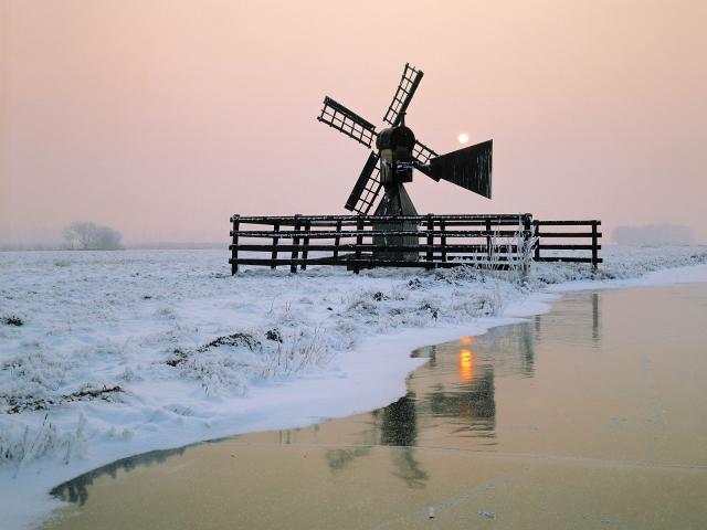 Wormer