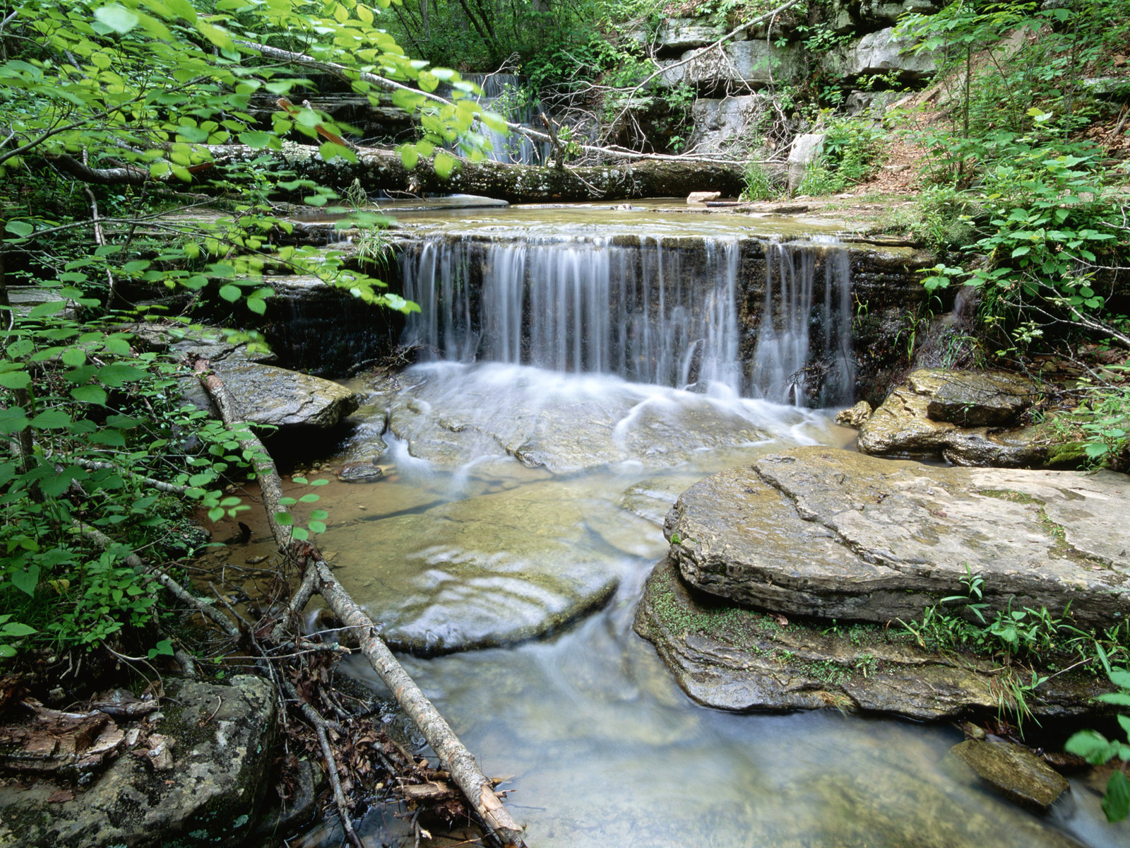 Cascade_Ozark
