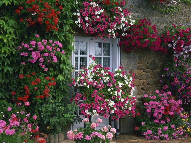 Farmhouse_Summer