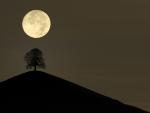 Full_Moon_Hirzel