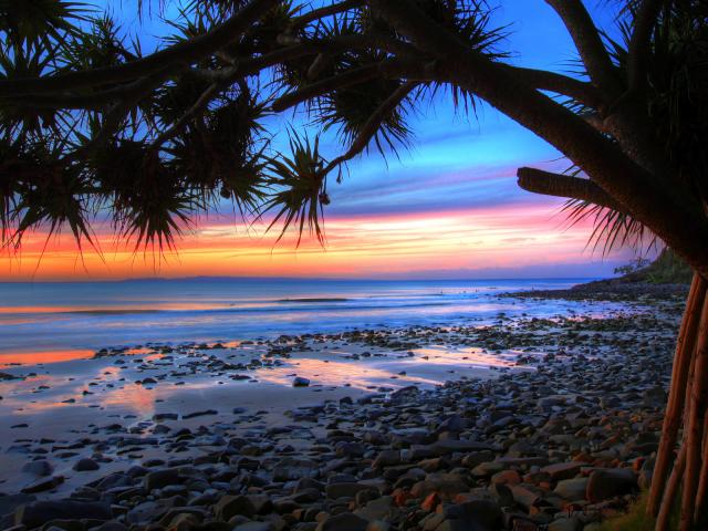 Pandanus_Sunset_Noosa
