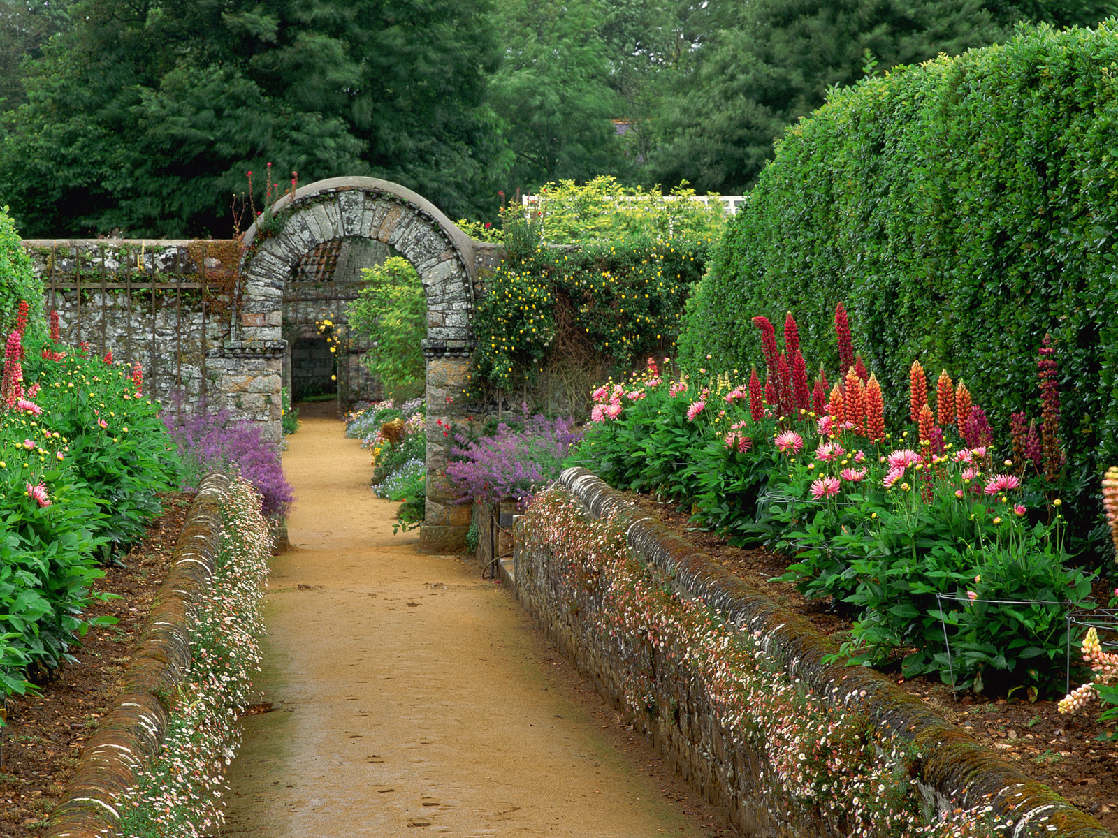Walled_Garden_La