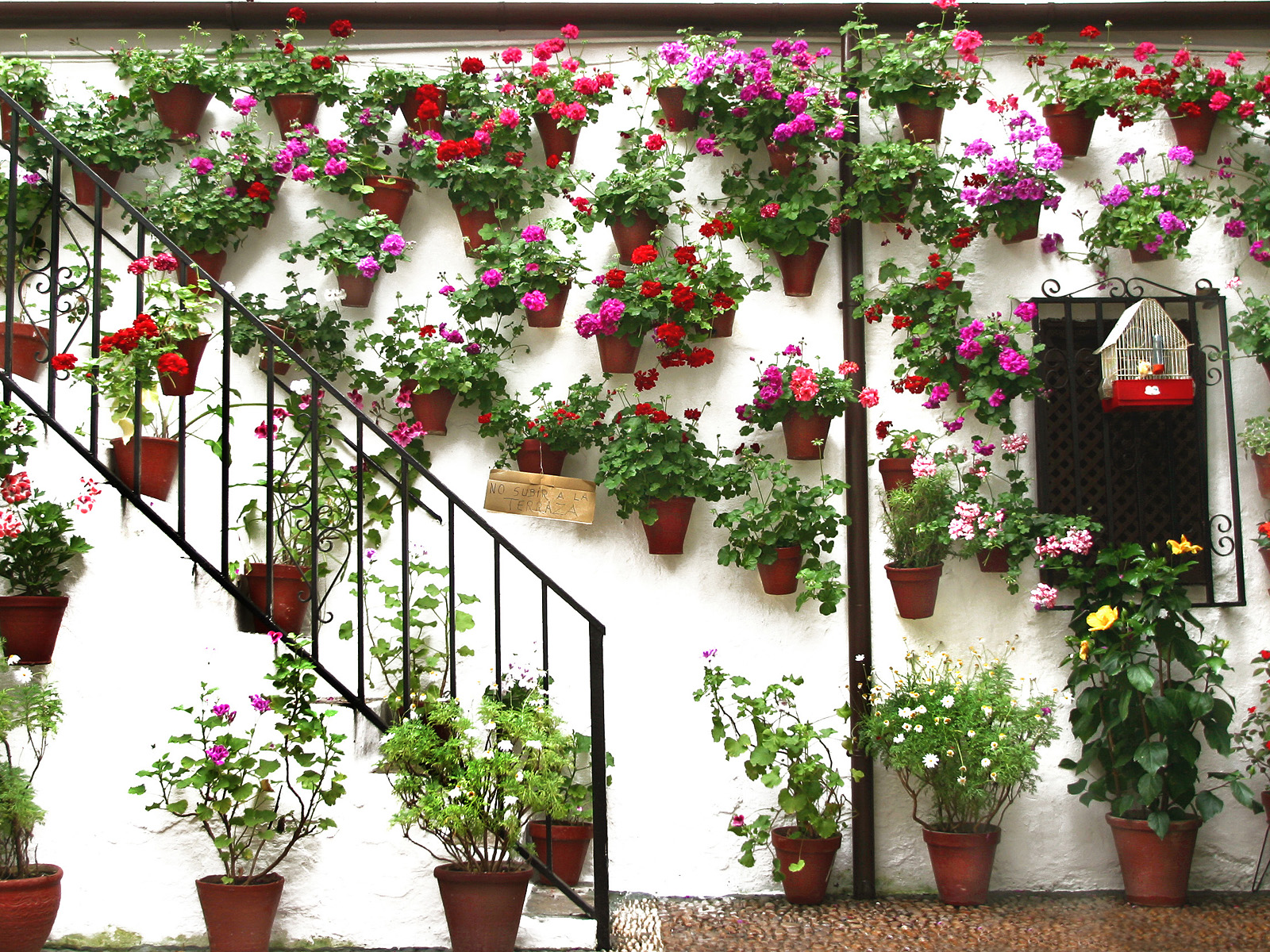 Festival_of_Gardens
