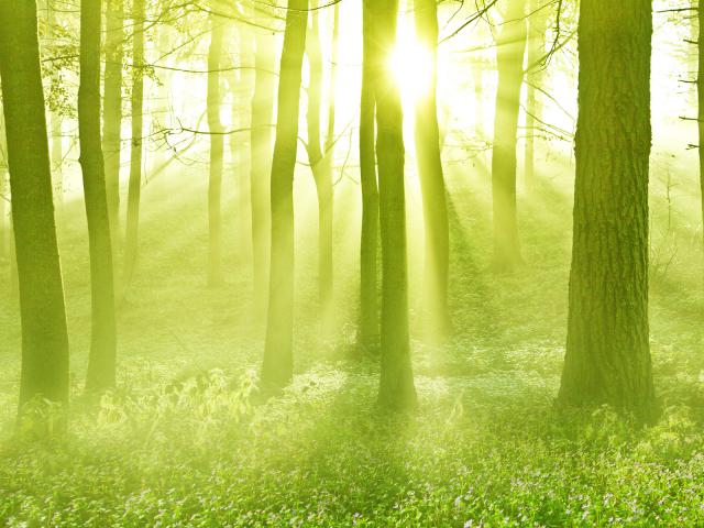 Gods_Rays_Scotland
