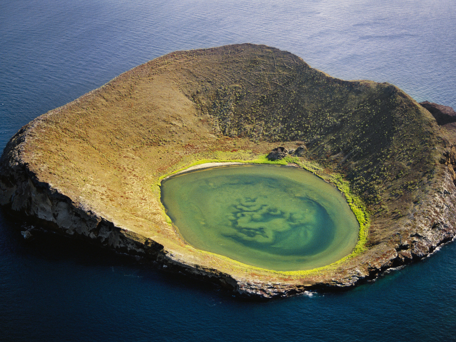 Isabela_Island_Ecuador