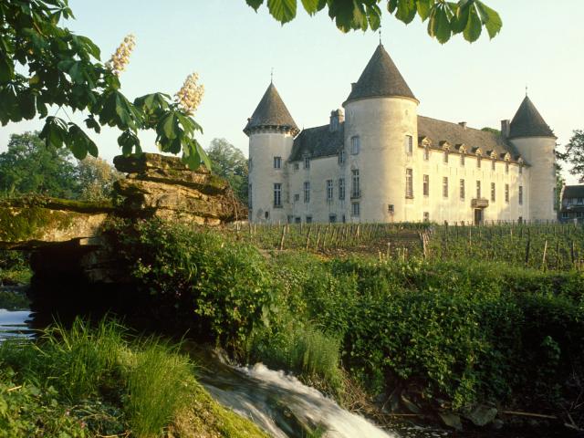 Savigny_Castle