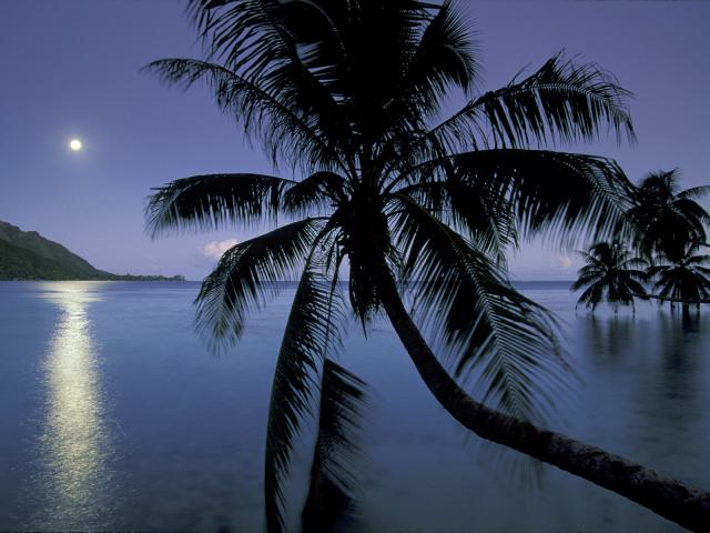 Moonlight_Over_Opunohu