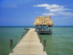 Tropical_Shelter