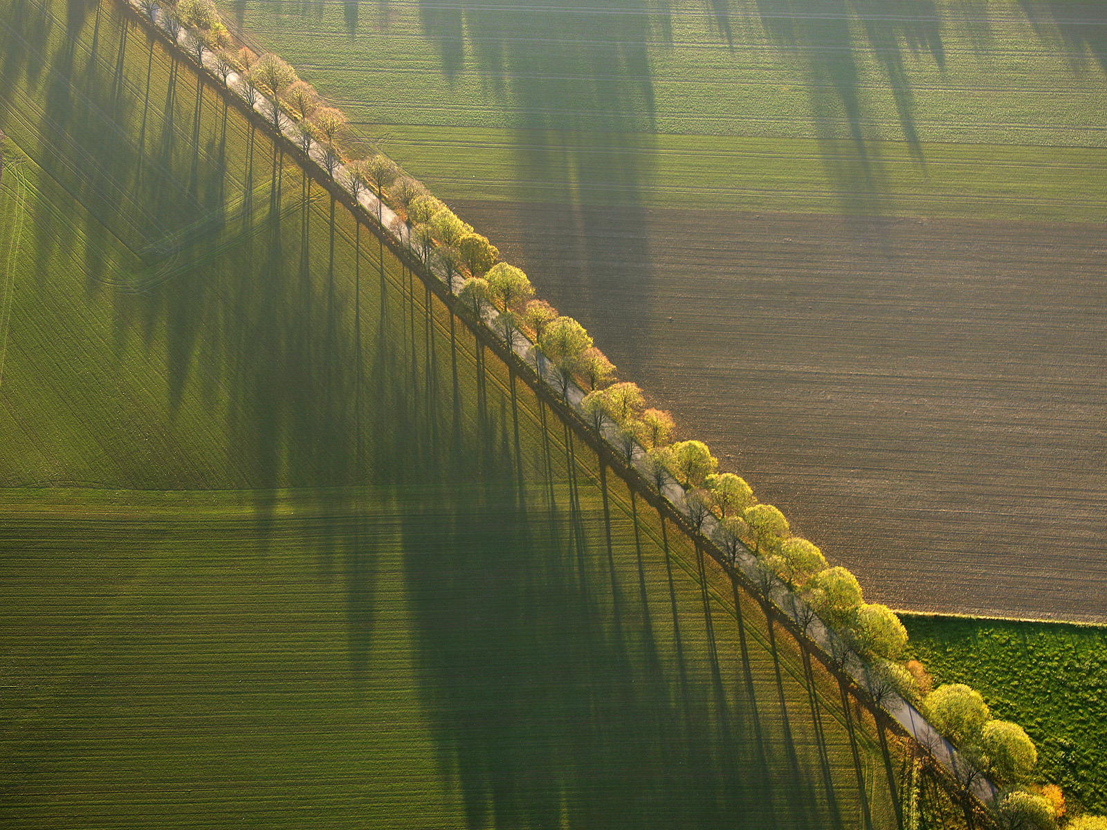 Country_Road_Werl