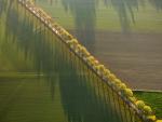 Country_Road_Werl